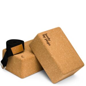 Luxury Cork Yoga Block Set - Classic