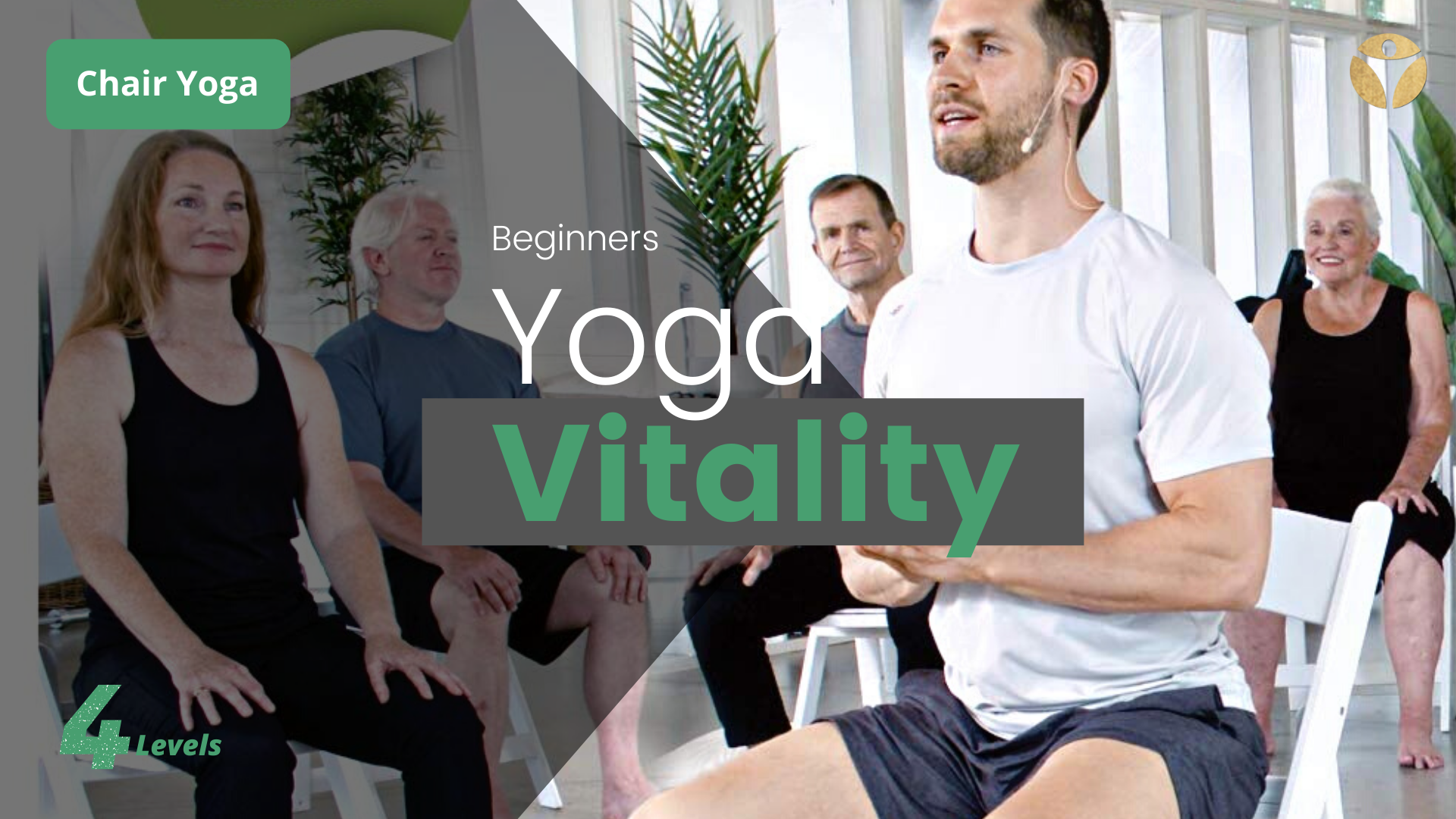  Yoga Vitality - Chair Yoga For Seniors, Older Adults, and  Absolute Beginners, Made For Healthy Aging, Improved Mobility, Joint  Health, Balance, Pain Relief, and Injury Prevention