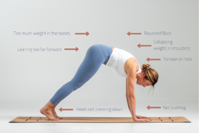 Downward Dog Pose For Beginners: Step by Step Guide, Modifications, and