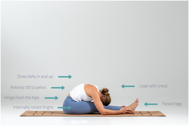 Step-By-Step Beginners Guide To The Seated Forward Fold Pose - Body By Yoga