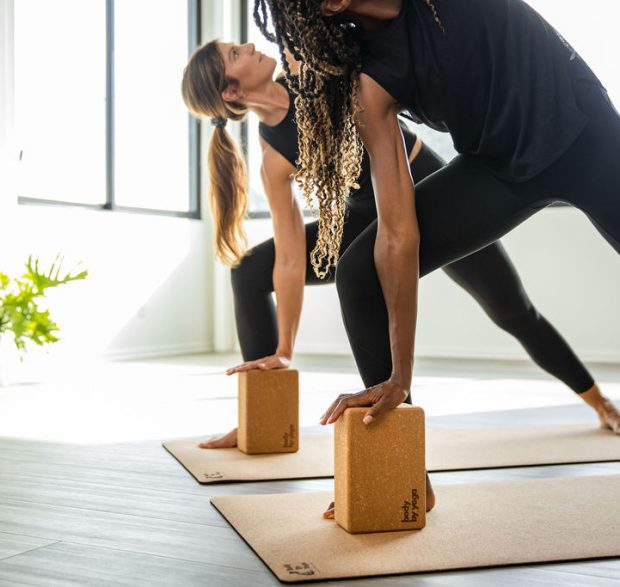 Yoga Cork Blocks  Buy Best Premium Cork Yoga Bricks Online - Core